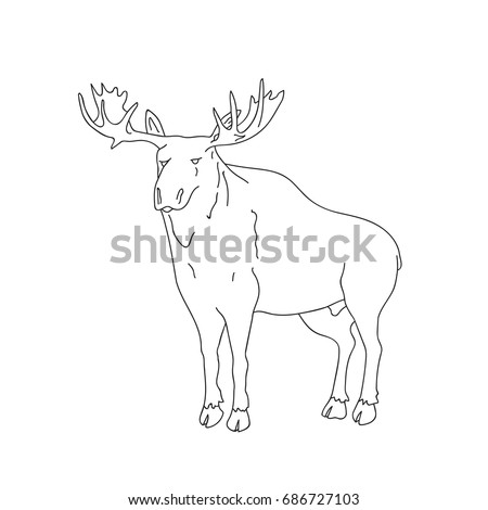 hand drawn doodle sketch illustration of wild moose black outline blank logo