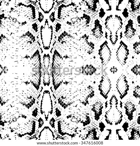 snake vector skin pattern texture seamless background shutterstock
