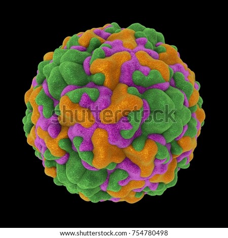 Rhinovirus Stock Images, Royalty-Free Images & Vectors | Shutterstock