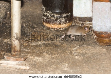 rachata kietsirikul's portfolio on shutterstock rachata kietsirikul's portfolio on shutterstock
