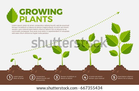 Cultivation Phase Stock Images, Royalty-Free Images & Vectors ...