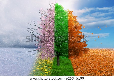 nature four
