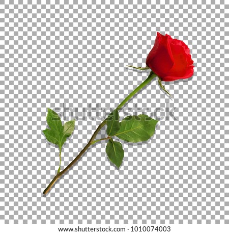 Rose Stem Stock Images, Royalty-Free Images & Vectors | Shutterstock