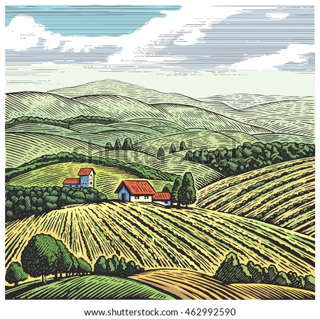 Rural landscape in graphic style, hand drawn and converted to vector Illustration.