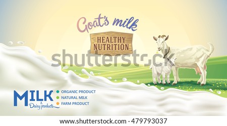 Rural landscape with goat and kid, splash of milk as a design element.