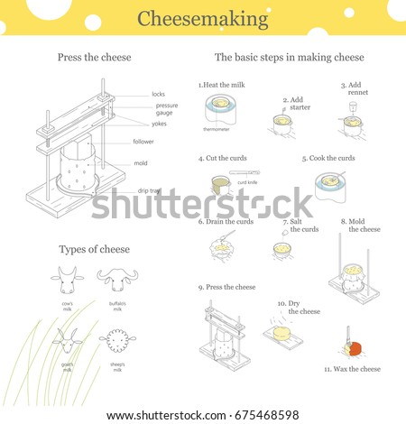 the parmesan dairy product creating approach essay the parmesan dairy product earning operation essay