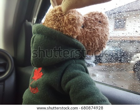 Brown reindeer doll with window of car on a rainy day.