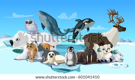 Antarctic Stock Images, Royalty-Free Images & Vectors | Shutterstock