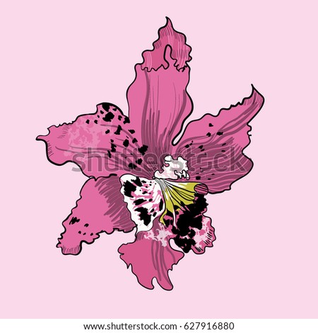 spring flower template light pink beautiful stock vector 627916880 spring flower template