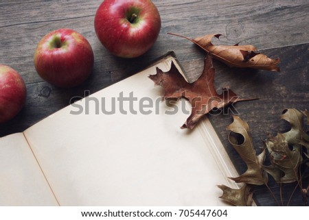 Happy Thanksgiving Text Pumpkins Leaves Over Stock Photo 739468219 ...