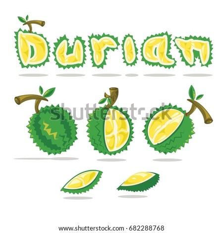 Vector durian and Font design. King of fruit Thailand