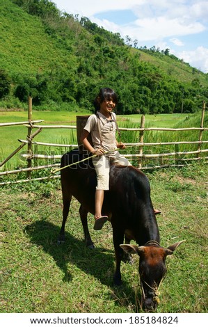 BUON ME THUOT, VIET NAM- SEPT 3: Unidentified Vienamese children herd cow at countryside, kid illierate and they tend ox to help family, VietNam, Sept 03, 2013
