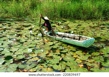 DONG THAP, VIET NAM- SEPT 23: Asian farmer sitting on row boat, pick water lily, one food from nature, aquatic plant at Mekong Delta, water-lily as vegetable in Vietnamese dish, Vietnam, Sept 23, 2014