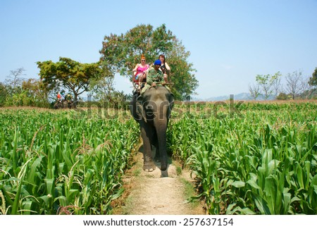 BUON ME THUOT, VIET NAM- FEB 25: Group of tourist traveling Vietnamese countryside, traveler ride elephant, cross rural with green flield, this is Daklak's travel product, Vietnam, Feb 25, 2015