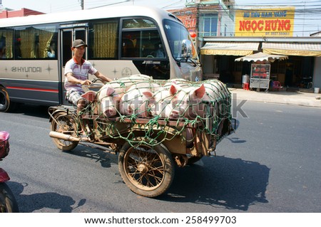 DONG NAI, VIET NAM- FEB 13: Asian man transport group of pig to market by tricycle on street, pig is popular product from family agriculture, Dongnai, Vietnam, Feb 13, 2015