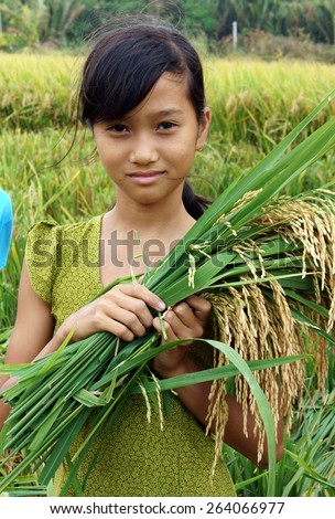 SOC TRANG, VIET NAM- MAR 23: Unidentified Asia children playing on rice field, Vietnamese kid hold sheaf of paddy on hand, stand with happy, smiling face in good crop, Vietnam, Mar 23, 2015