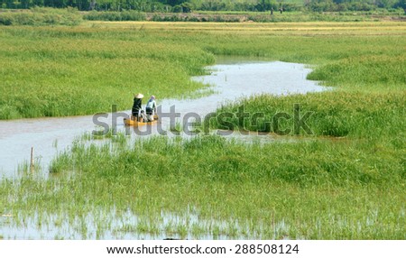 DAK LAK- VIET NAM- JUNE11: Group of Asian farmer go to work by row boat on Lak lake in summertime, family of ethnic minority, grass on lake, amazing view for Asia travel, Daklak, Vietnam, June11, 2015