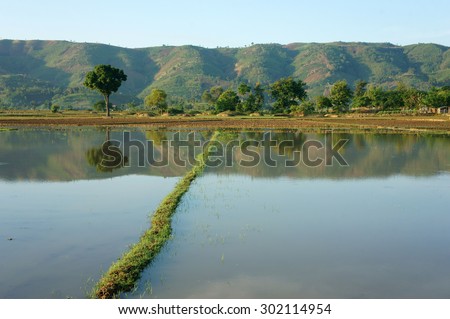 Agriculture field after harvest season, beautiful landscape of nature, flooded farm, tree reflect on water, chain of mountain behind, green countryside of Daklak, Viet Nam