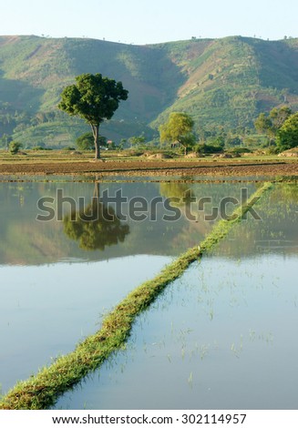 Agriculture field after harvest season, beautiful landscape of nature, flooded farm, tree reflect on water, chain of mountain behind, green countryside of Daklak, Viet Nam