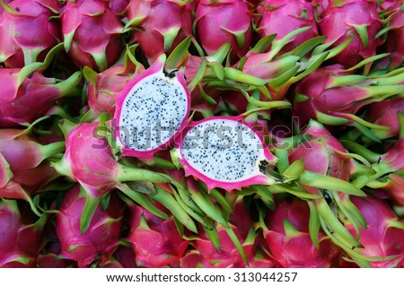 Vietnamese food for export, Dragon fruit, agricultural product from Binh Thuan, Vietnam, pink peel, basket of fruit to packing for sell, this tropical fruit also name Hylocereus undatus, Pitahaya