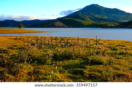 Beautiful panorama landscape at Dalat countryside, Vietnam, amazing wide grass in yellow morning, lake among pine forest, mountain far away, pine tree, wonderful scene for Da Lat, Viet Nam travel