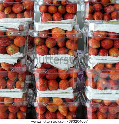 Crop at strawberry garden Da Lat, Viet Nam, high tech agriculture to make clean and safe product, fruit from strawberries plant at Dalat, Vietnam, this is food that rich vitamin, good for health