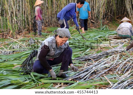 SOC TRANG, VIET NAM- JULY 14, 2016: Group of Asian farmer working on sugar cane field