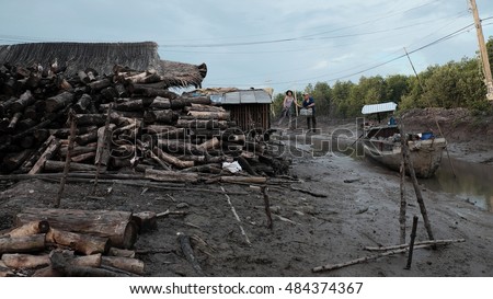 CA MAU, VIET NAM- JULY 16, 2016: Vietnamese worker transport charcoal, product from mangrove firewood at fuel kiln, Camau, Vietnam