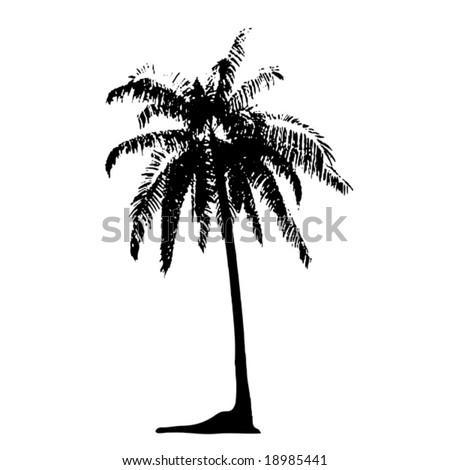 Vector Trees Reflection Stock Vector 16091665 - Shutterstock