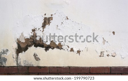 Free Program Damp Patch Exterior Wall