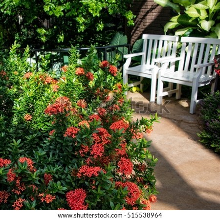 Flowers Window Box Stock Photo 1451474 - Shutterstock