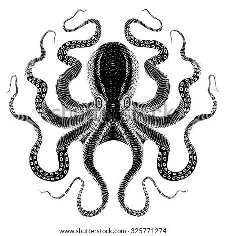 Sea Monster Black Octopus Stock Vector 325771274 - Shutterstock
