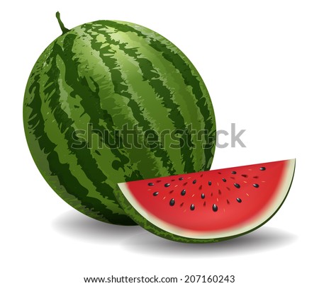 Closeup of watermelon (whole and slice) on white background. vector Illustration
