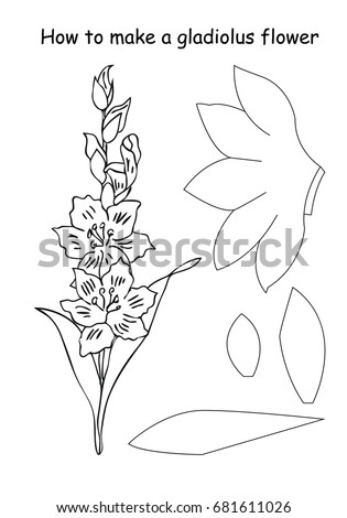 How Make Gladiolus Flower Outline Scheme 스톡 벡터(사용료 없음) 681611026