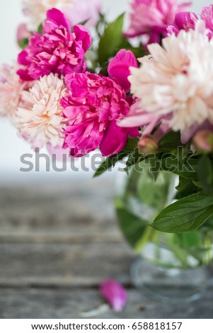 pink peonies stock images, royalty-free images & vectors pink peonies stock images, royalty-free images & vectors