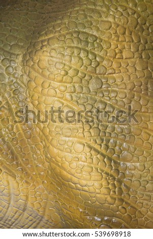 skin closeup stock images royalty free images vectors dinosaur skin texture stock images royalty free images vectors skin closeup stock images royalty free images vectors dinosaur skin texture stock images royalty free images vectors