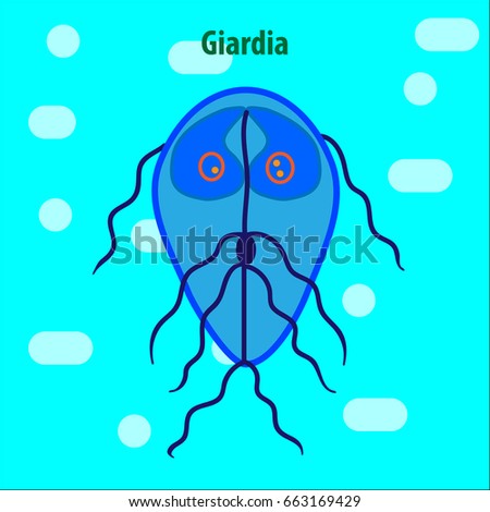 Protozoa Unicellular Organisms Stock Vector Shutterstock