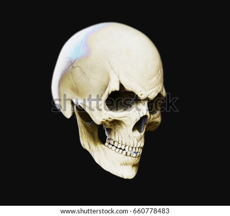 3d Skull Stock Images, Royalty-Free Images & Vectors | Shutterstock