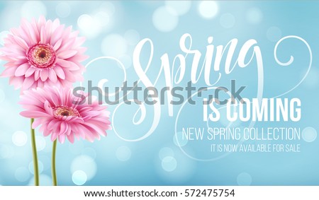 Gerbera Flower Background and Spring is coming Lettering. Vector Illustration EPS10