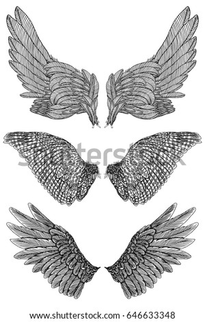 Eagle Wings Vector Drawing Stock Vector 117088465 - Shutterstock