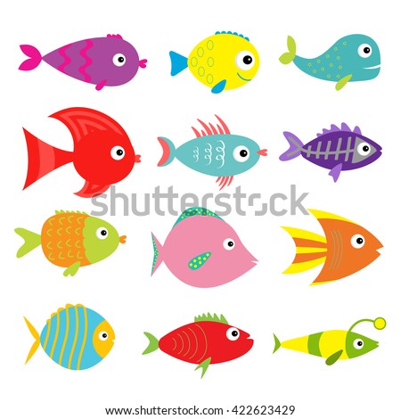 Grouper Violet Replacement Grouper Violet Replacement