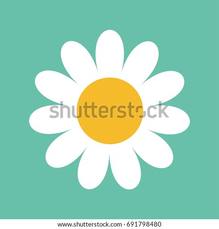 White daisy chamomile. Cute big flower plant collection. Love card. Camomile icon Growing concept. Flat design. Green background. Isolated. Vector illustration