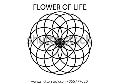 Flower Life Vector Stock Vector (Royalty Free) 355779020 - Shutterstock