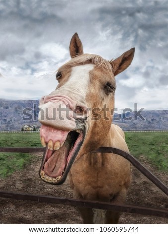 Buck Teeth Stock Images, Royalty-Free Images & Vectors | Shutterstock