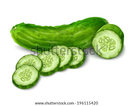 Vegetable organic food cucumber cut isolated on white background vector illustration