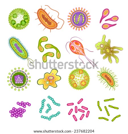 Set Cartoon Bacteria Other Microorganisms Bright Stock Vector 58682626 ...