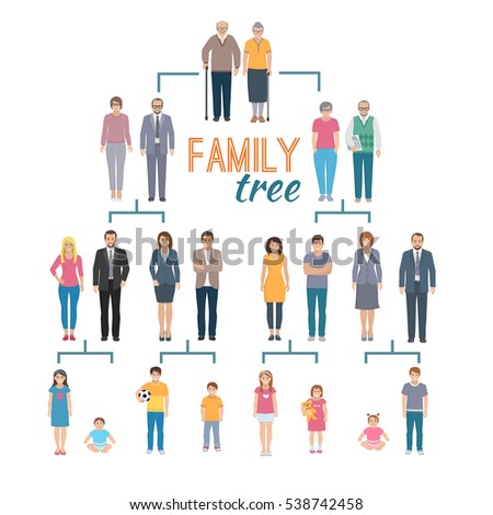 members family chart & Stock Genealogy Images, Images Free Vectors Royalty