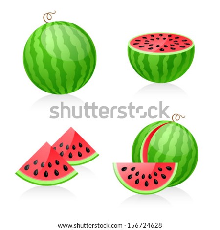 Vector illustration of watermelon