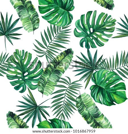 Palm Leaves On White Background Watercolor Stock Illustration ...