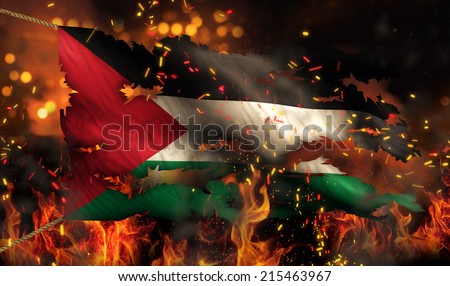 Palestinian Flag Stock Images, Royalty-Free Images & Vectors | Shutterstock